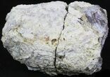 Crystal Filled Dugway Geode #33190-1
